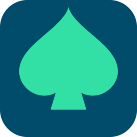 1kasinot.fi logo