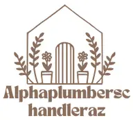 Alphaplumberschandleraz.com logo