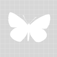 Beingmrsc.com logo