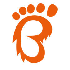 Bigfoot eCommerce logo