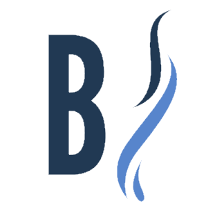 Binfire logo