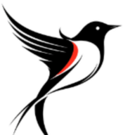 Birdnet News logo