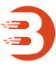 Bizcar.ro logo