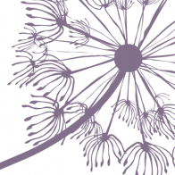 Bloeise logo