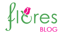 Blog-flores.pt logo