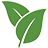 Conseils Beaute Bio logo