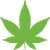 CBD360 logo