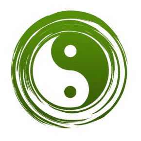 Chi-Nese.Com logo