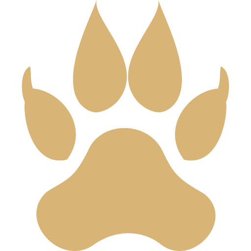 Coingabbar.com logo