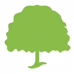 Conso Globe logo