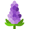 Couleur Lavande logo