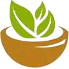 Curas-Naturais.pt logo