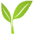 Cure Naturali logo