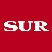 Diariosur.es logo