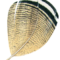 Fly Tyer logo