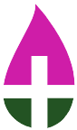 Healthsurgeon.net logo