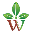 Healthylife.werindia.com logo