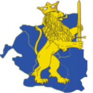 Jurnalulolteniei.ro logo