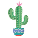 Kaktusy-sukulenty.pl logo