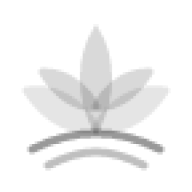Lundigo logo