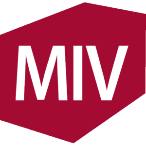 Madeinvilnius.lt logo