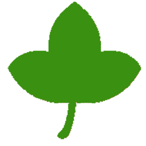 Mujer con salud logo