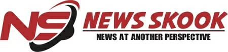 Newsskook.com logo
