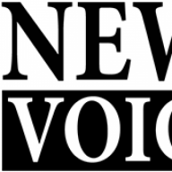 NewsVoice logo