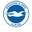 The Daily Seagull logo