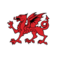 North Wales Chronicle logo