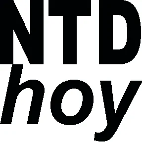 NTDhoy logo