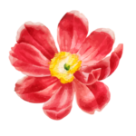 Ogrody-Perspektywa.Com.Pl logo