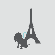Ouiinfrance.com logo