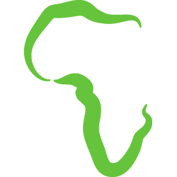 Polity.org.za logo