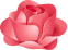 Pparty.pl logo