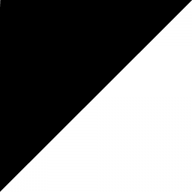ProSport.ro logo