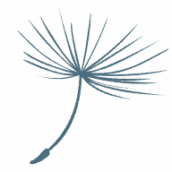 Psychogoed.nl logo
