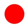 Publicatiepunt.nl logo