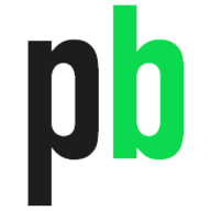 Puntobiz.com.ar logo