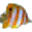 Riffaquaristik Forum logo
