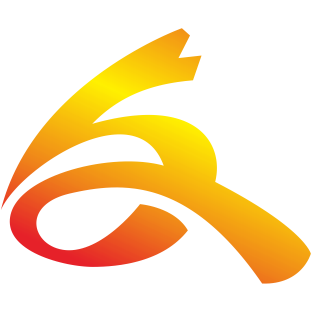 Sd.whjw.cn logo
