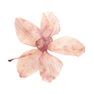 So Workin&Girls logo
