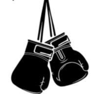 Spaceboxing.com logo