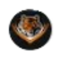 Sportstiger.com logo