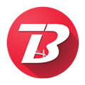 Thebridge.In logo