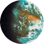 The Daily World logo