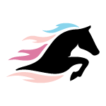 Ticnology.be logo