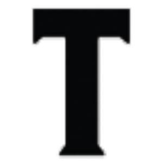 Travelerstoday.com logo