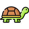 Turtle Team logo