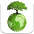 Tutto Green logo